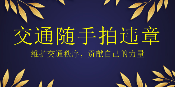 随手拍违章软件