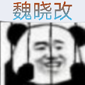 BVN魏晓改