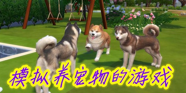 可以养宠物的游戏