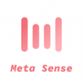 Meta Sense