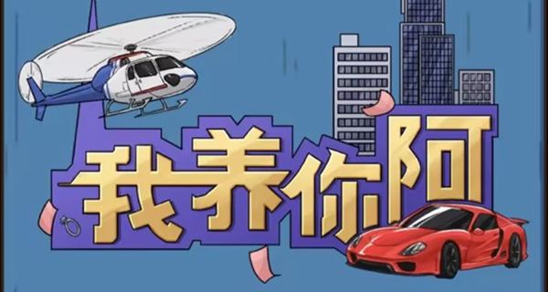 我养你阿攻略大全