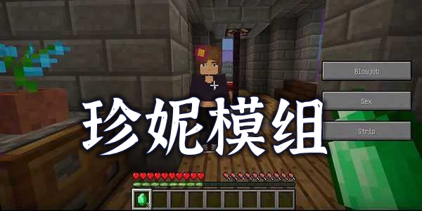 珍妮模组