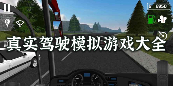 驾驶模拟器游戏大全