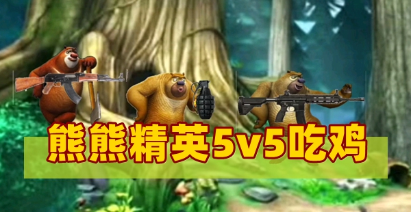 熊熊精英