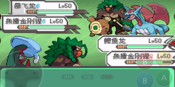 口袋妖怪究极绿宝石