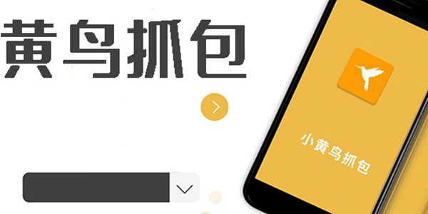 小黄鸟抓包软件