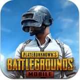 pubg国际服手游助手