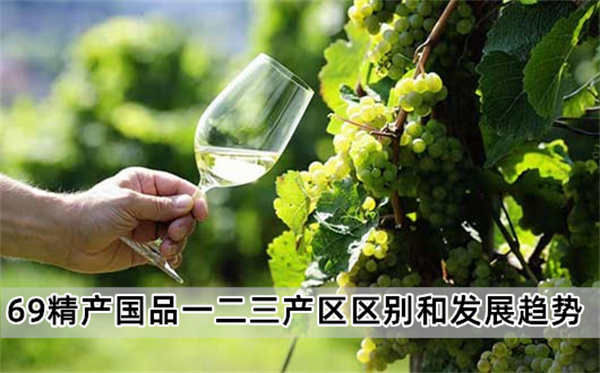69精产国品一二三产区区别和发展趋势