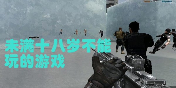 未满十八岁不能玩的游戏