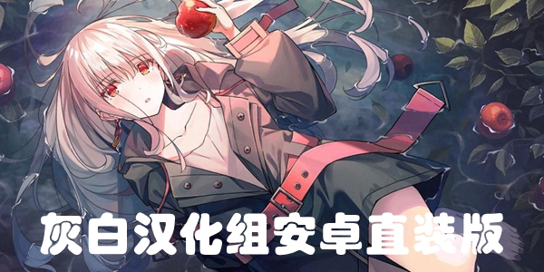 灰白汉化组游戏大全