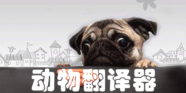 动物翻译器