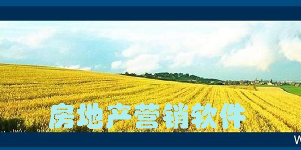房地产营销软件