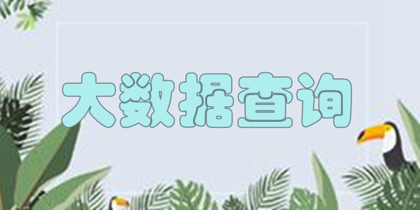 大数据查询