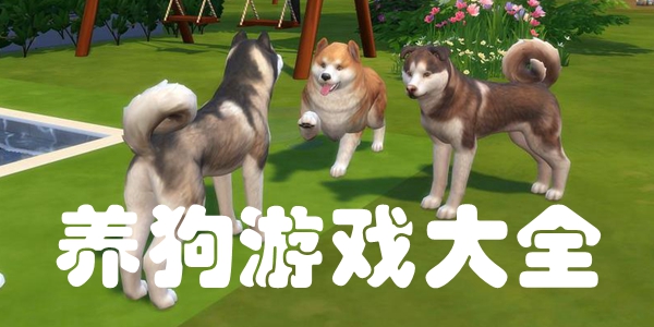 养狗游戏大全