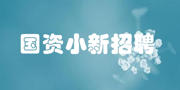 国资小新招聘