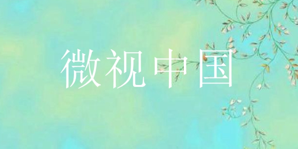 微视中国