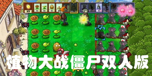 植物大战僵尸双人版