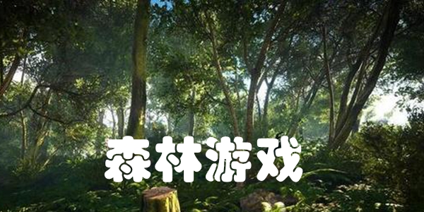 森林游戏