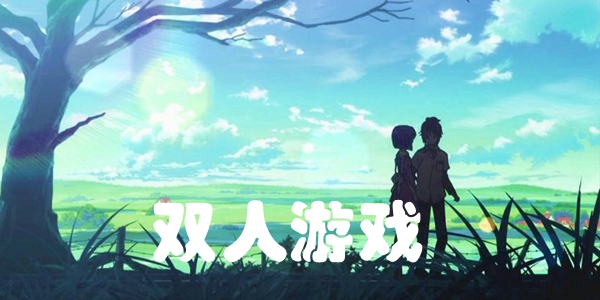 双人游戏
