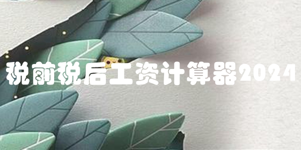 税前税后工资计算器2024