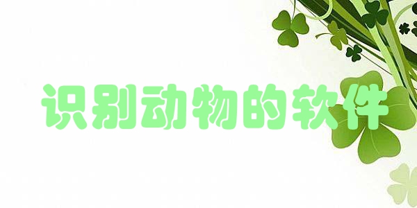 识别动物的软件