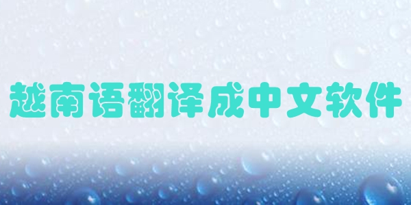 越南语翻译成中文软件