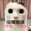 猫里奥大闯关