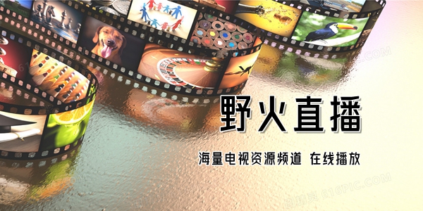 野火直播
