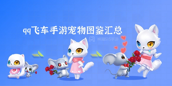 QQ飞车手游宠物图鉴汇总