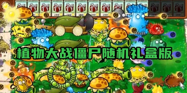 植物大战僵尸随机礼盒版本大全