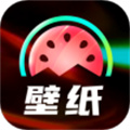 启晖西瓜壁纸app手机最新版