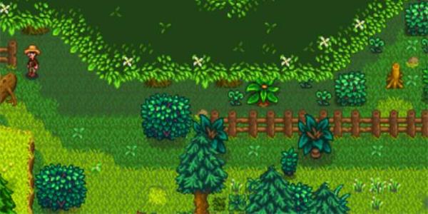 星露谷物语森林解锁方法