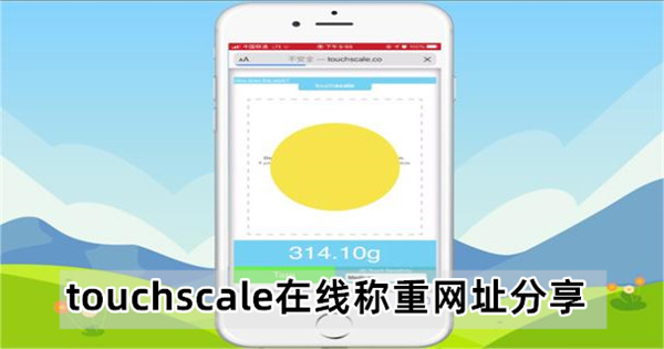 touchscale在线称重网址分享