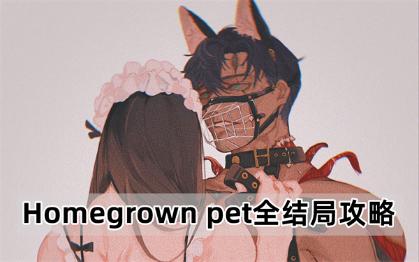 Homegrown pet全结局攻略