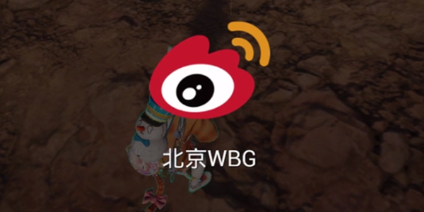 wbg战队有几个韩国人