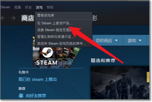 steamcdkey使用方法