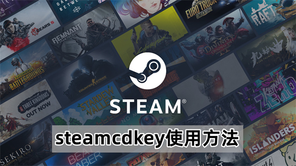 steamcdkey使用方法