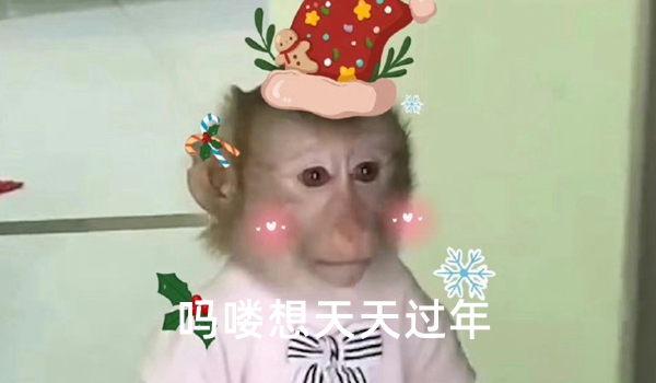 吗喽的意思出处介绍