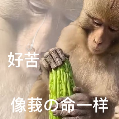 网络热梗大全