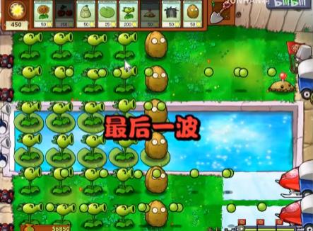 植物大战僵尸95版