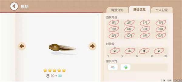 心动小镇蝌蚪钓鱼方法分享