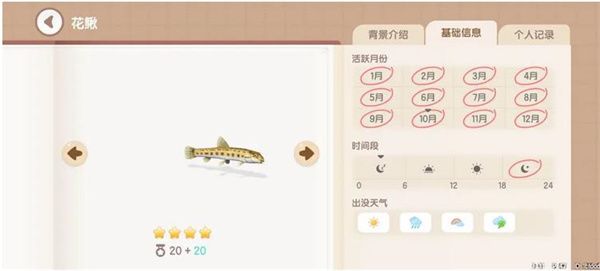 心动小镇花鳅钓鱼方法分享