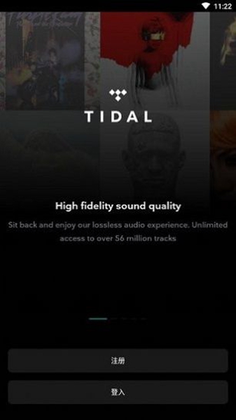 tidal music