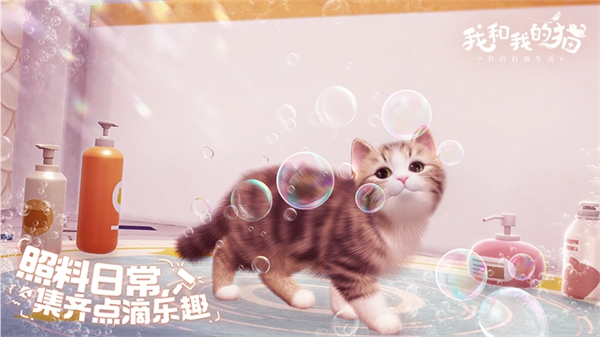 我和我的猫