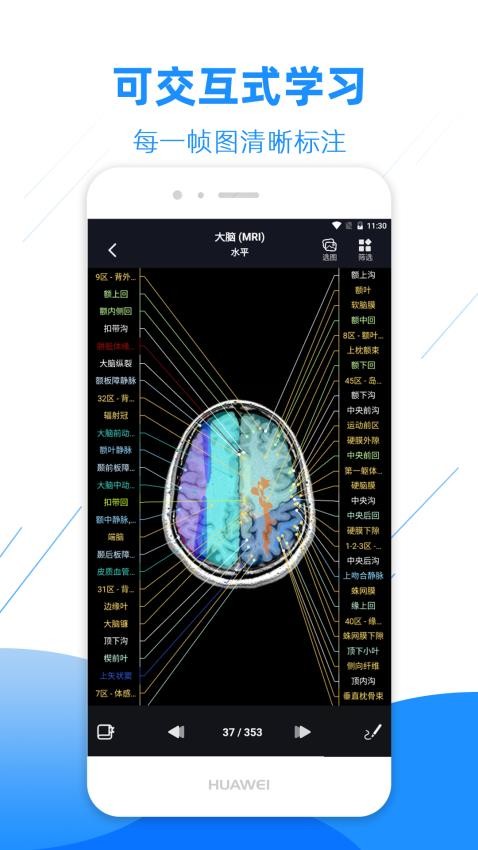 影像解剖图谱APP最新版免费