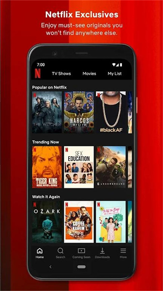 网飞netflixapp