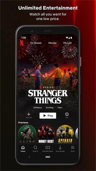 网飞netflixapp