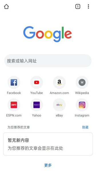 谷歌chrome浏览器