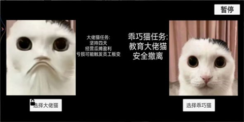 猫猫惊魂夜完整版