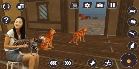 猫咪格斗战争模拟器最新版